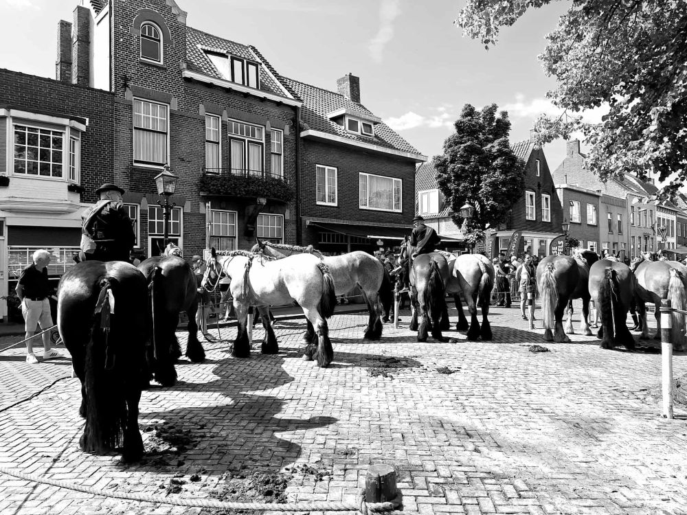 Foto's: Mark van de Vijver